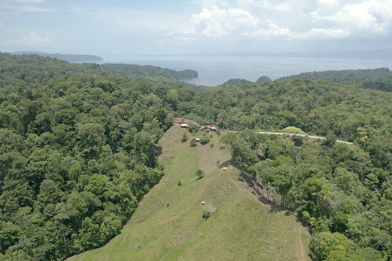 Osa Peninsula Los Mogos Magic Golfo Dulce Views 71 Acres