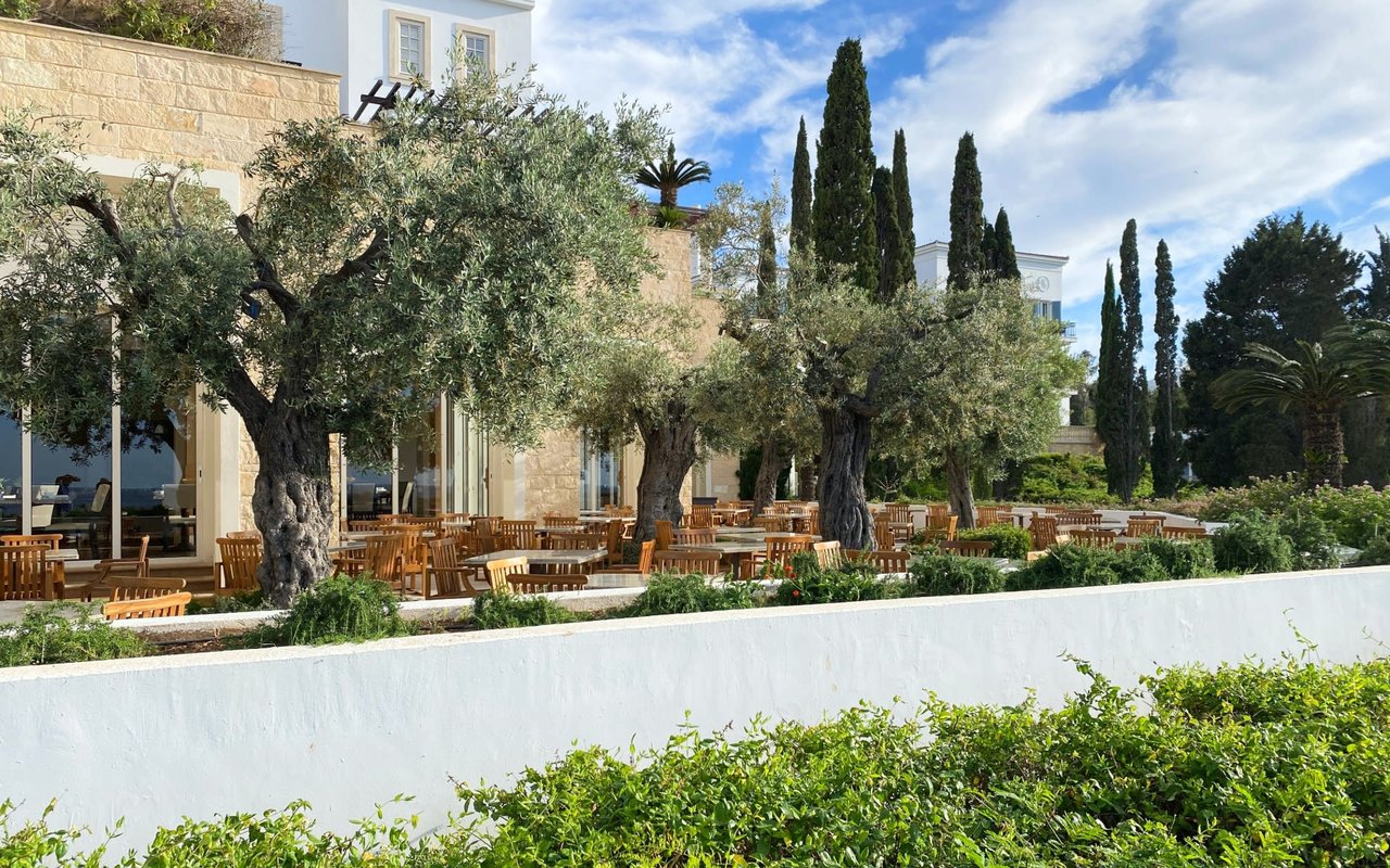 Sonoma County - June 2024