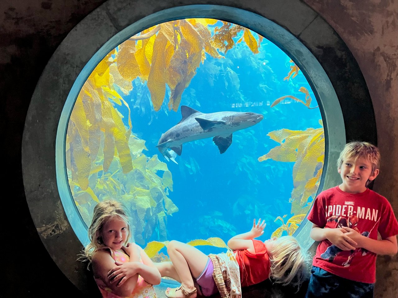 Monterey Bay Aquarium 