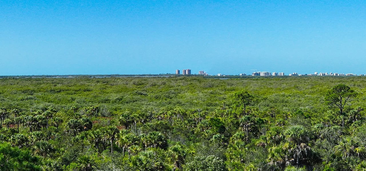 The Island at West Bay Residences