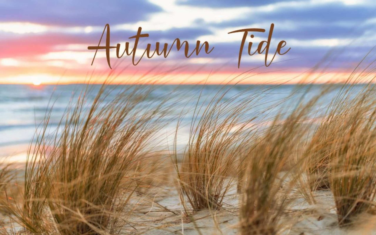 October 2023 Newsletter
