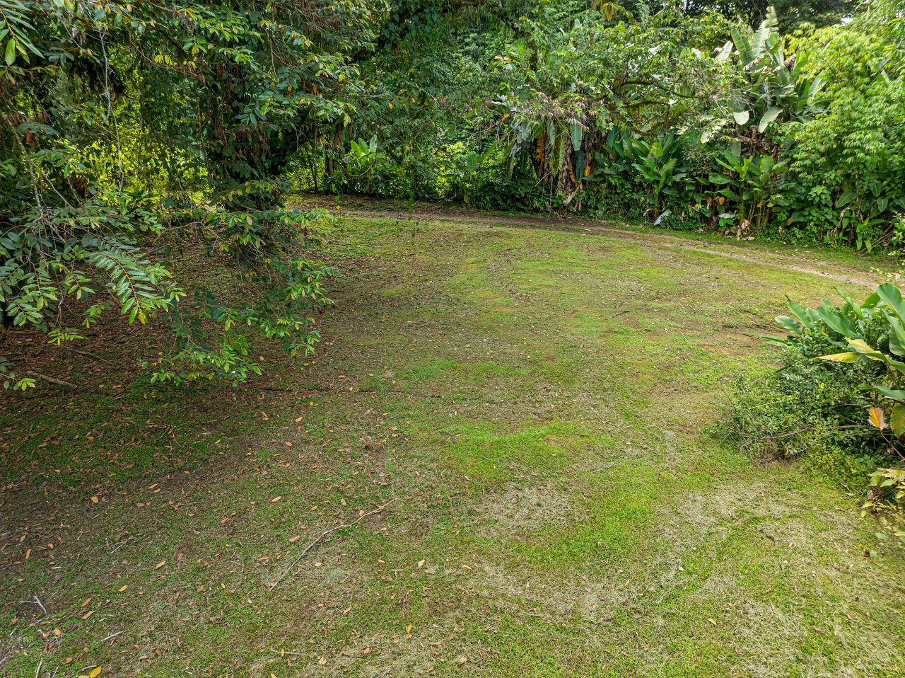 Tropical Hideaway – 7 Acres of Secluded Riverfront with a 3-Bedroom Home