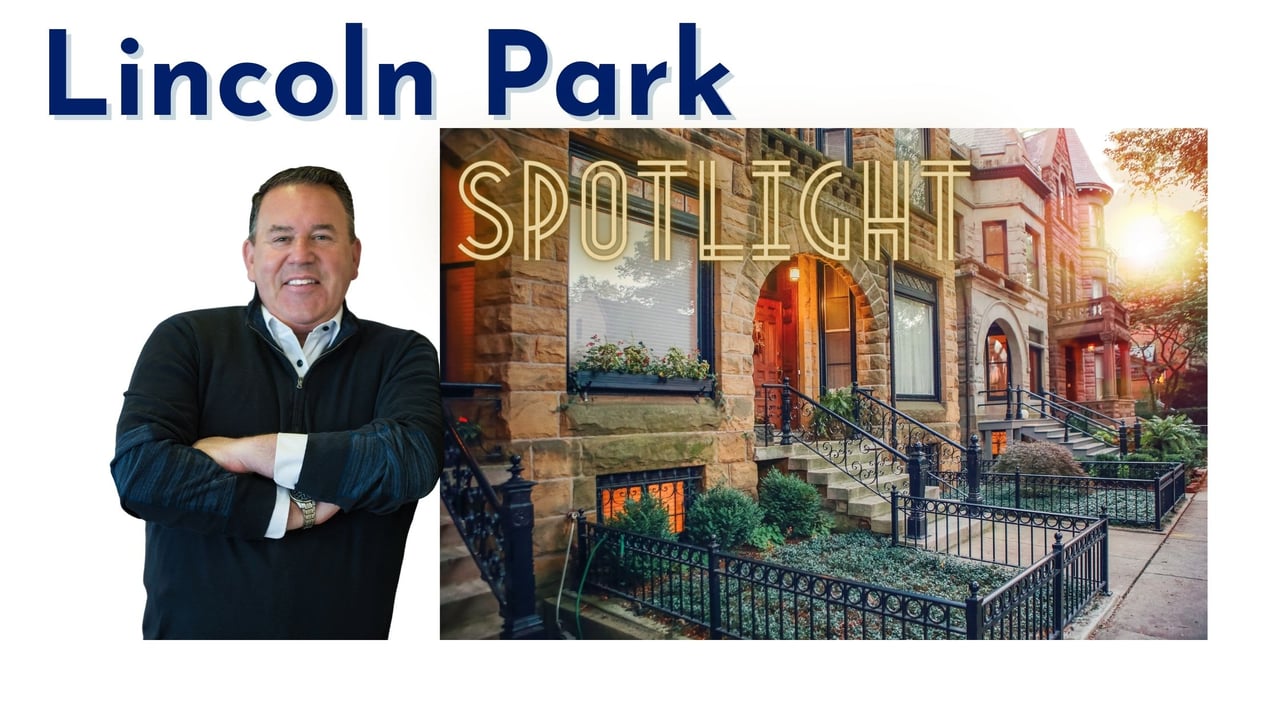Lincoln Park Spotlight