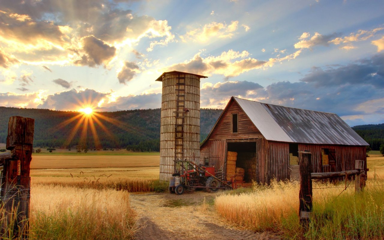 Shop Local at Circle C Farm Store in Bonita Springs, FL