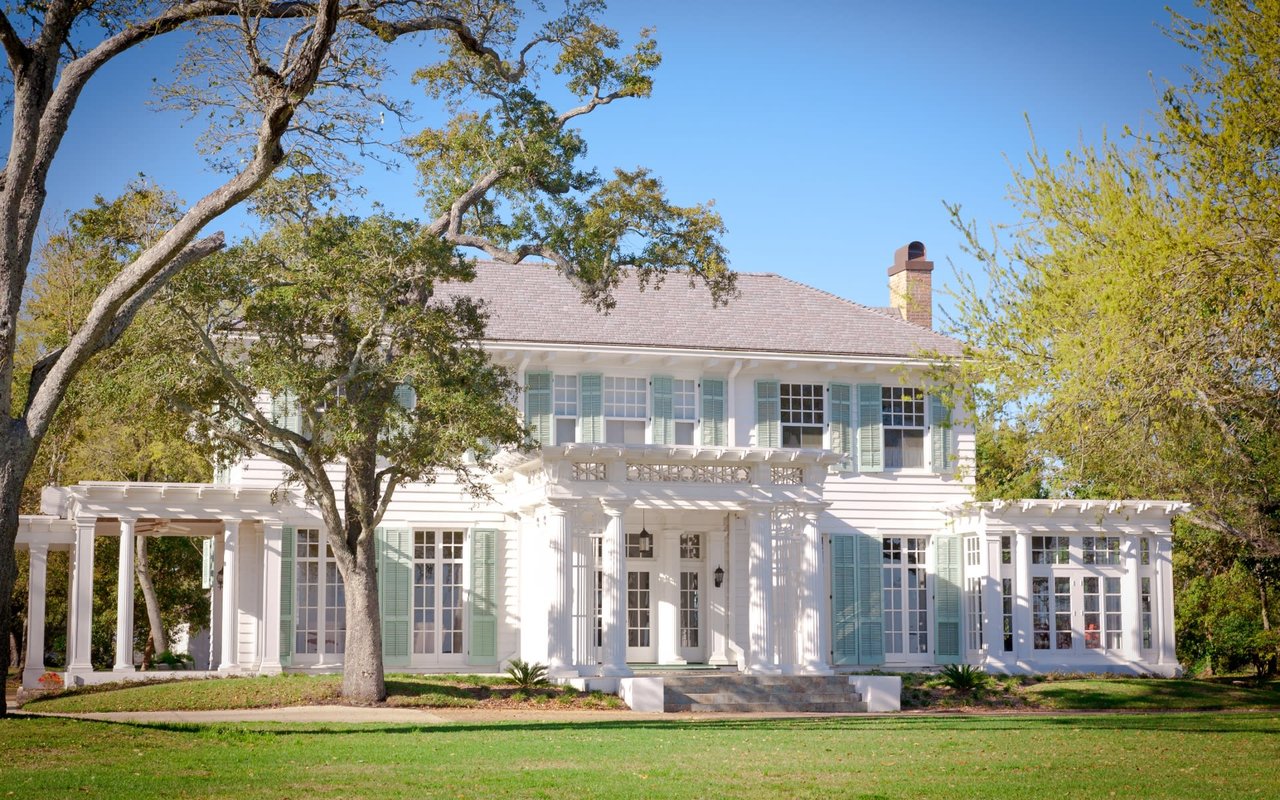 oak tree with front yard and White House with blue sky