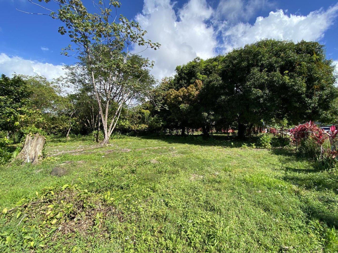 Flat And Usable Commercial Lot In The Heart Of Uvita With 90 Meters Paved Road Frontage!