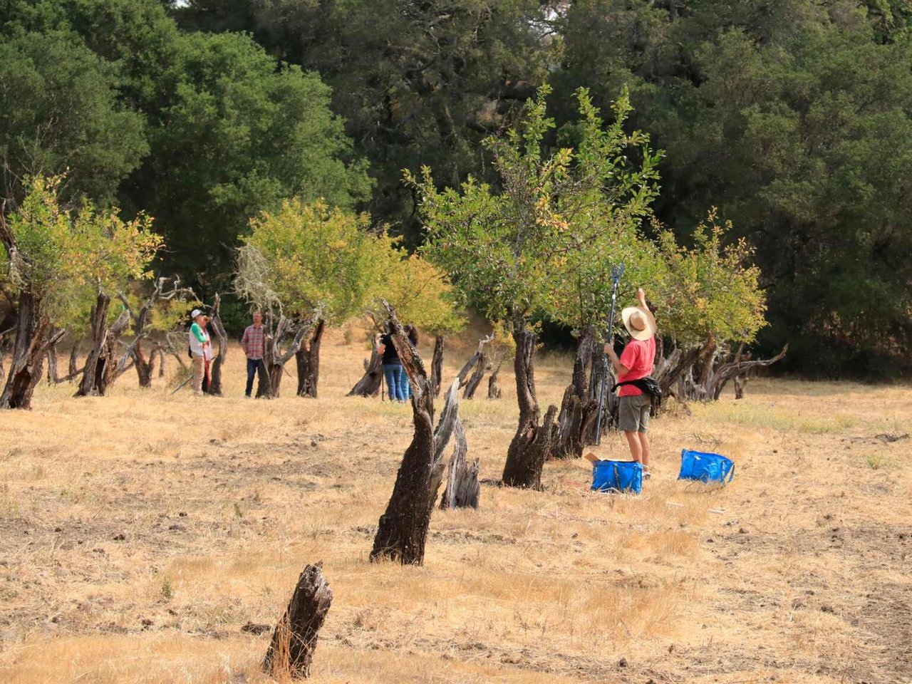 Glen Ellen Park Offers New Reason to Get Outside in Sonoma County This Fall