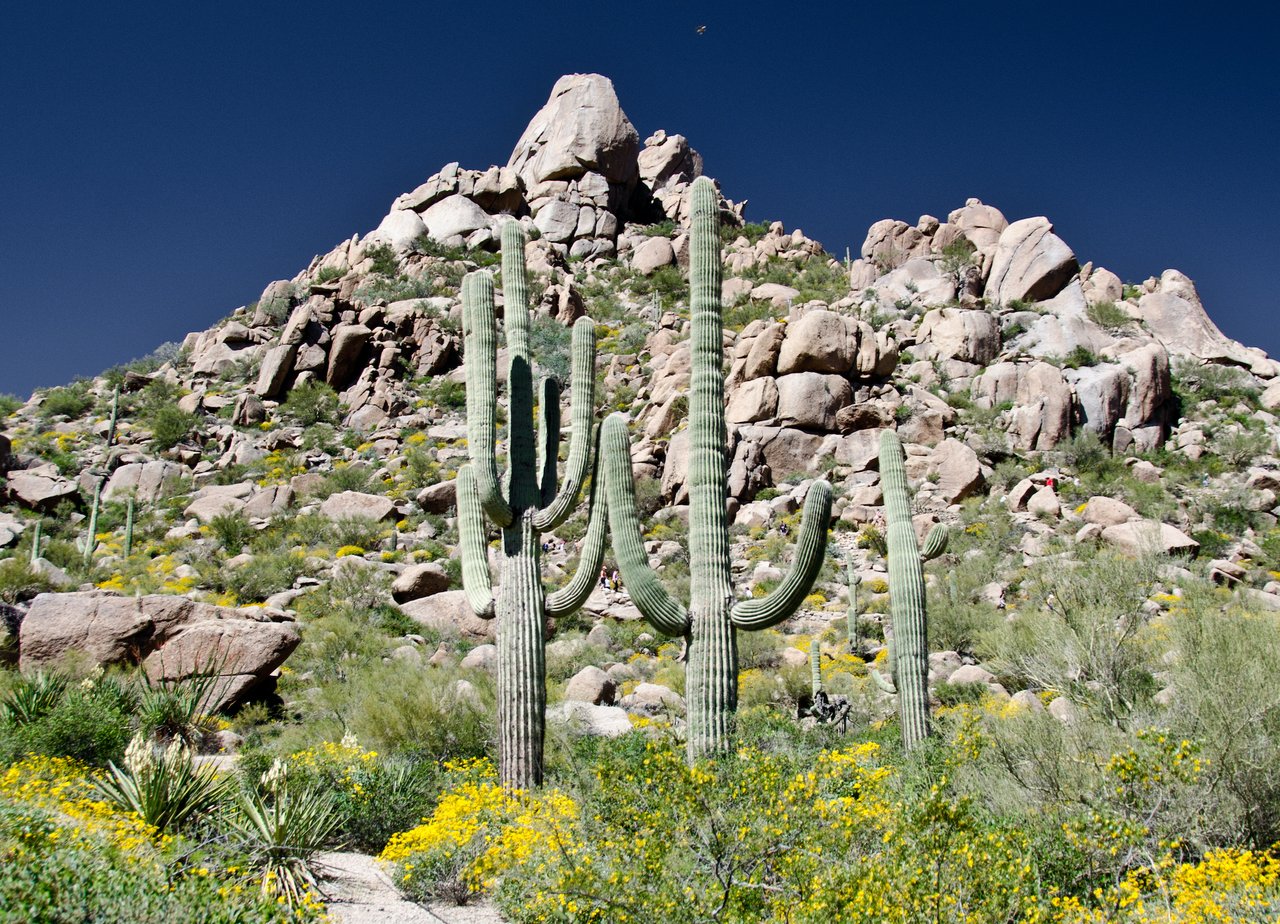 Pinnacle Peak Estates