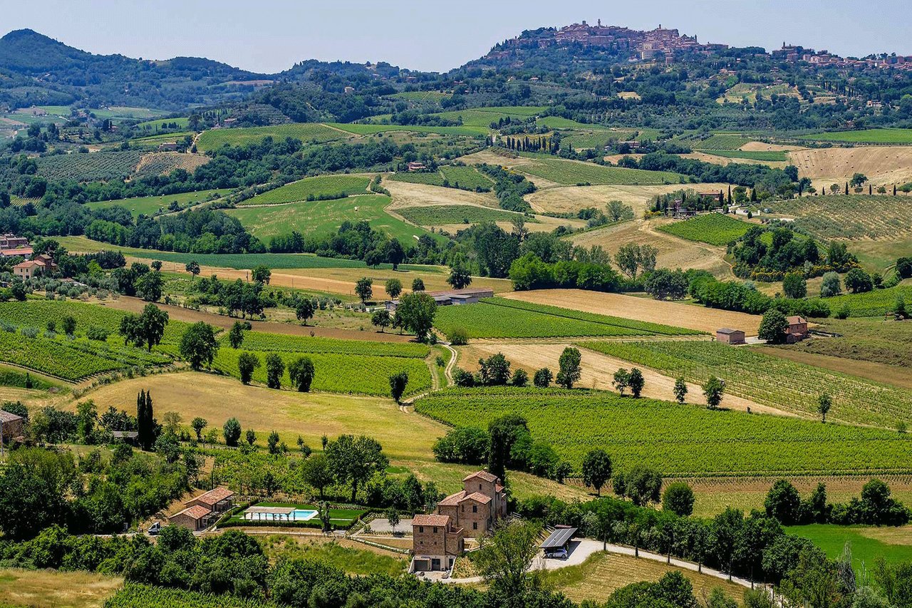 TENUTA LAVANDA
