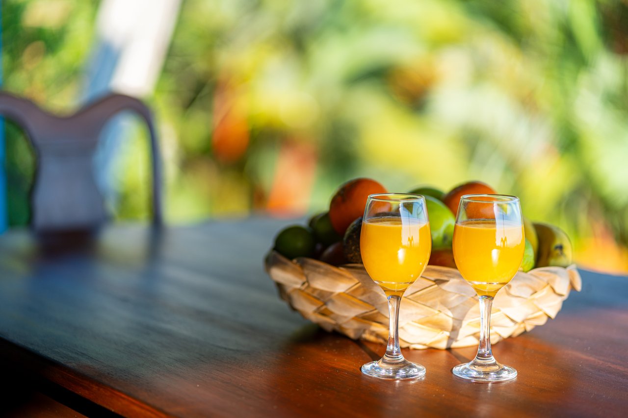 Casa Vista Harmonia, Legendary Ocean Views and Sustainable Living!