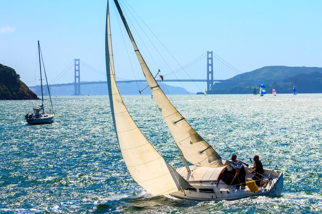 Tiburon