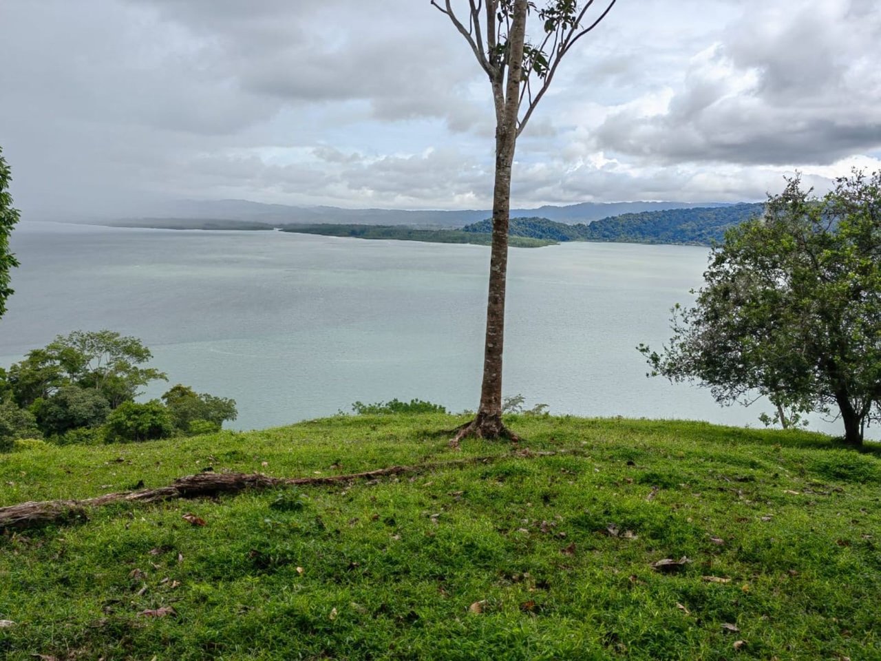 Coastal Development Land, Osa, Puntarenas