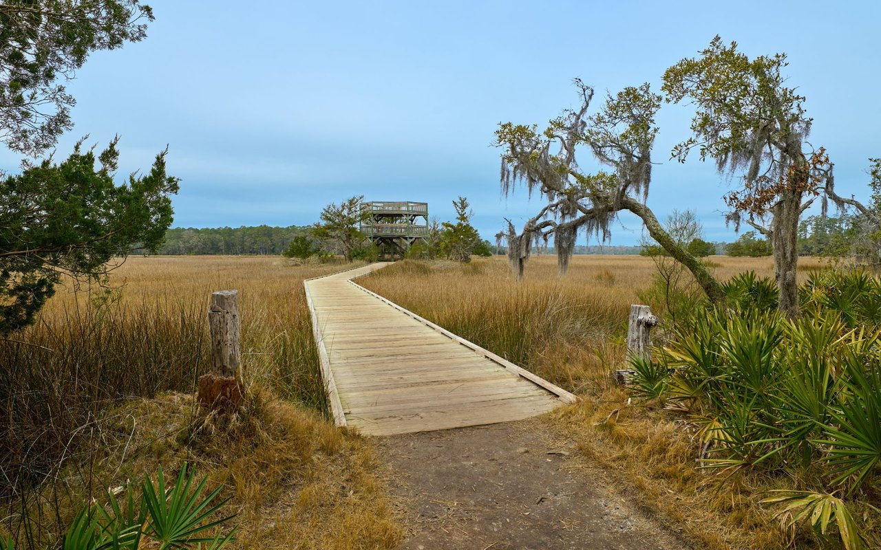 The Landings / Skidaway Island