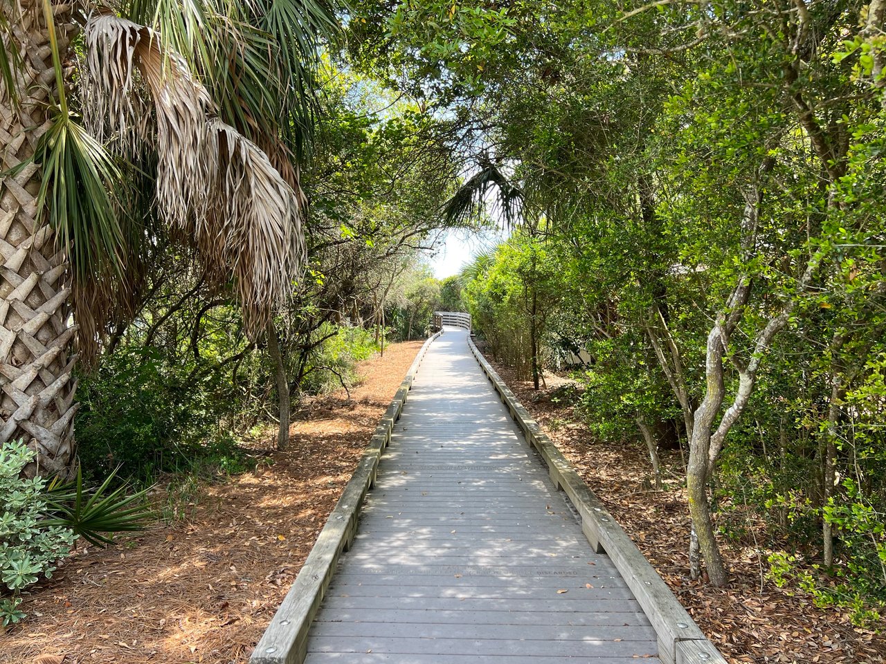 Seagrove Beach FL Homes for Sale