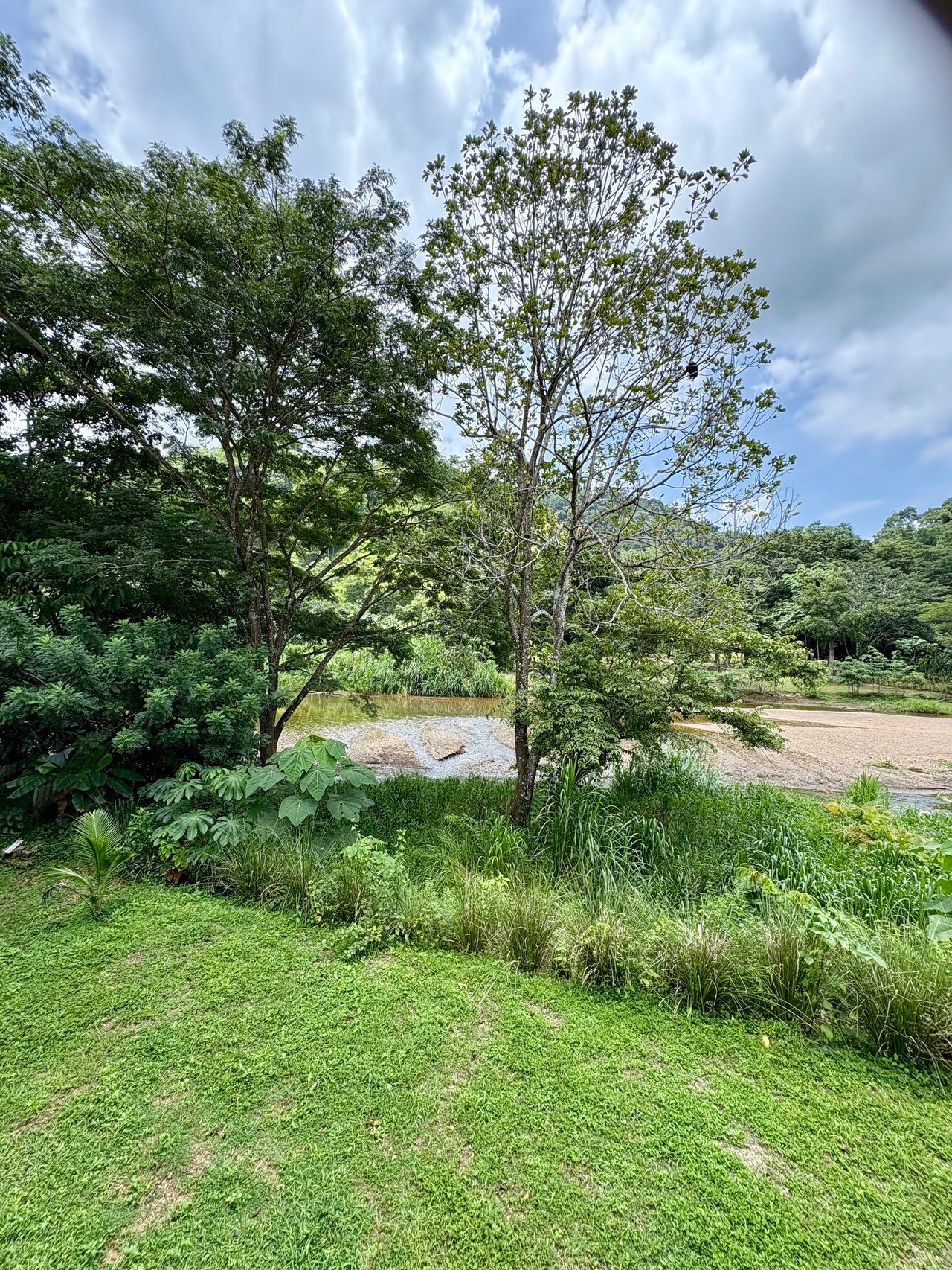 Riverside Jungle Home