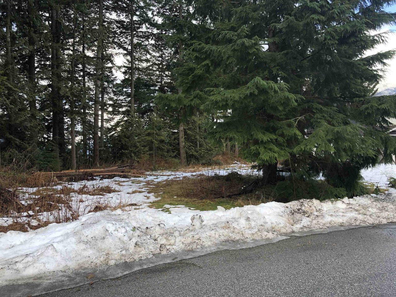 1127 Plateau Cres