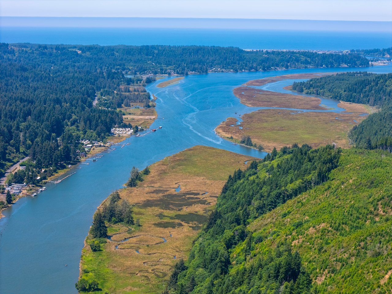 Alsea Estuary Forestland