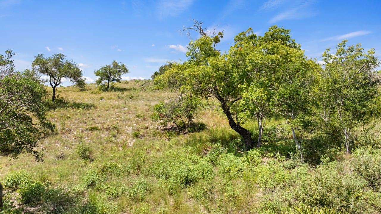 5104 Spanish Oaks Club Blvd.