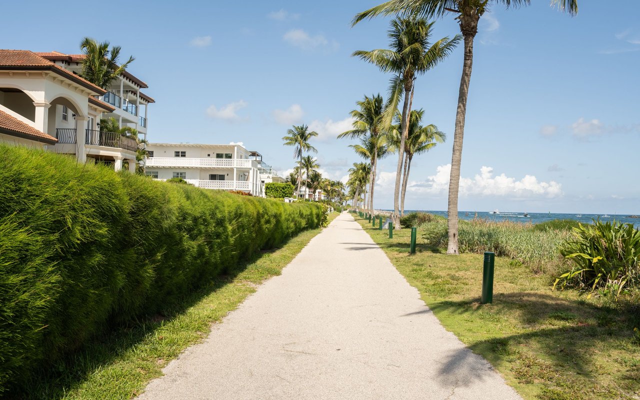 Sunlit seaside path lined with palm trees, hedges, and beachfront buildings.