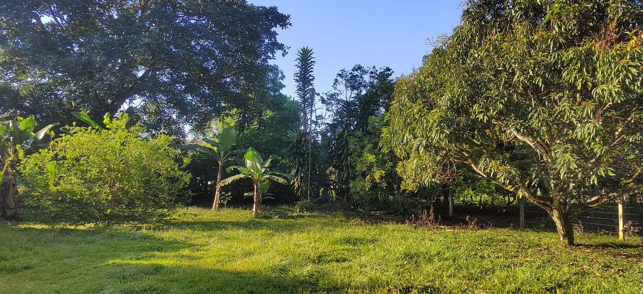PRIME 1,100 M² LOT IN RESIDENCIAL LOS VIEJOS – FLAT, PRIVATE, AND READY TO BUILD