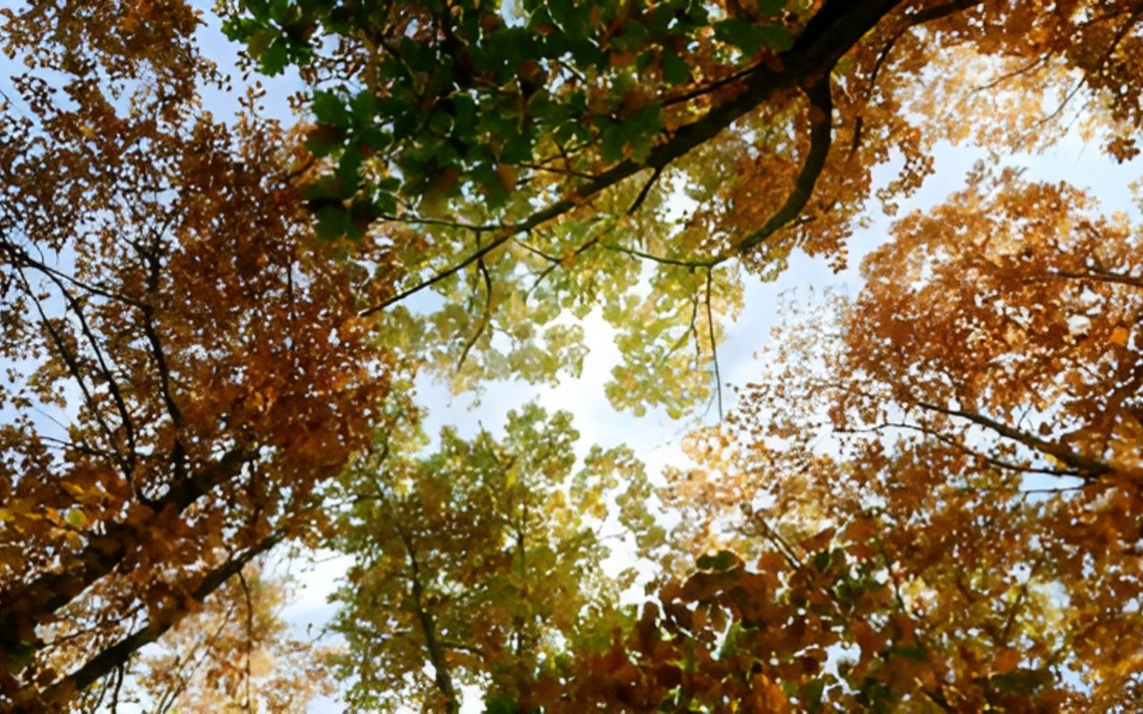 Seasonal Trends in Atlanta Real Estate: What to Expect