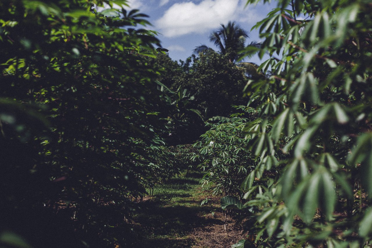 Punta Sabana & Mar Serena