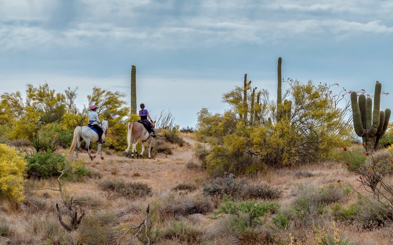 Land & Acreage