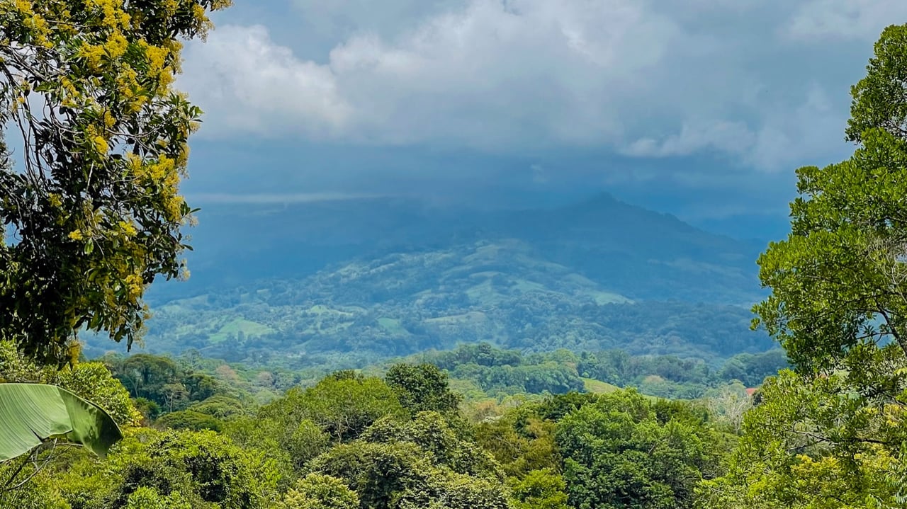 Scenic 2.53 Acres in Fila Cacao Ridge – Build-Ready Lot with Legal Water in Platanillo!