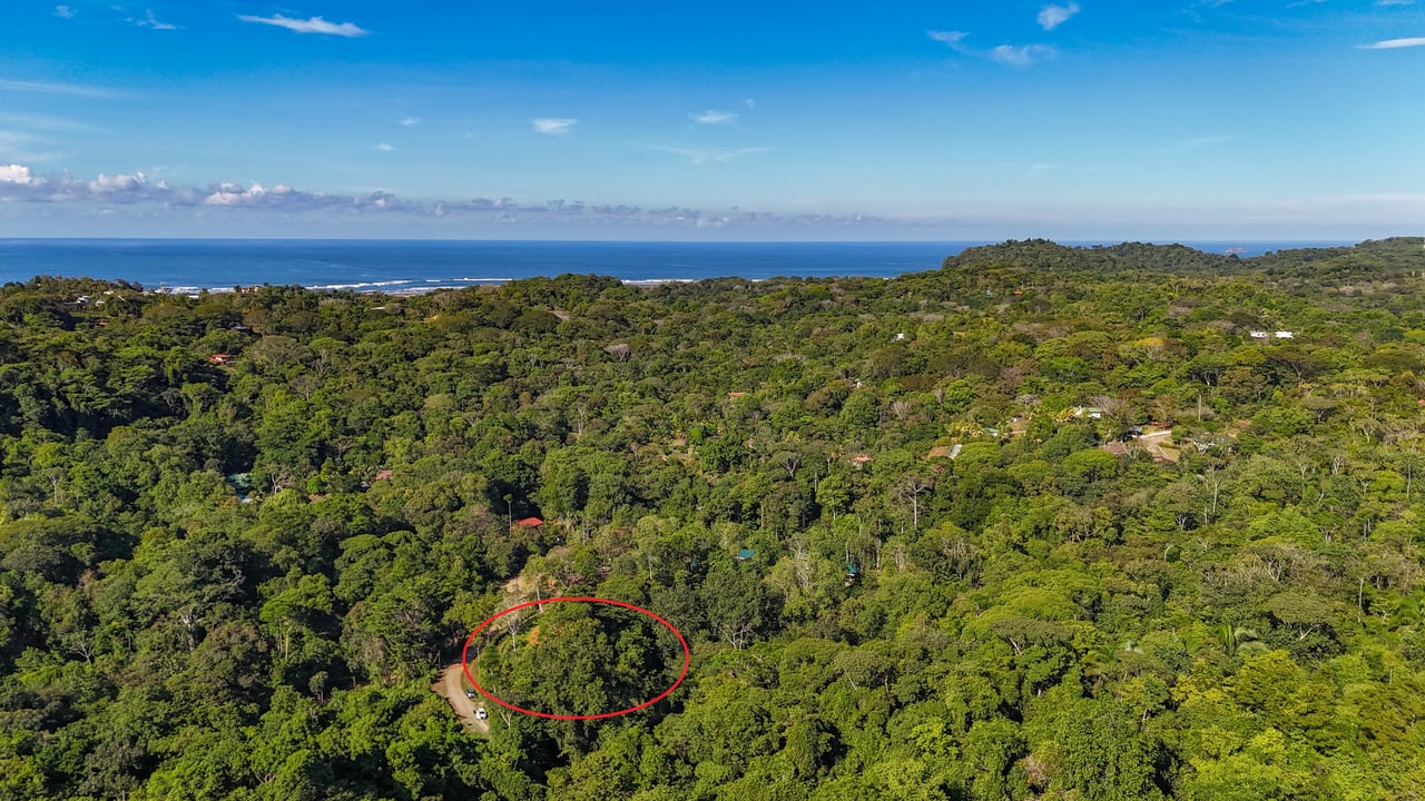 Jungle River Retreat with Airbnb & Build Space in Ojochal