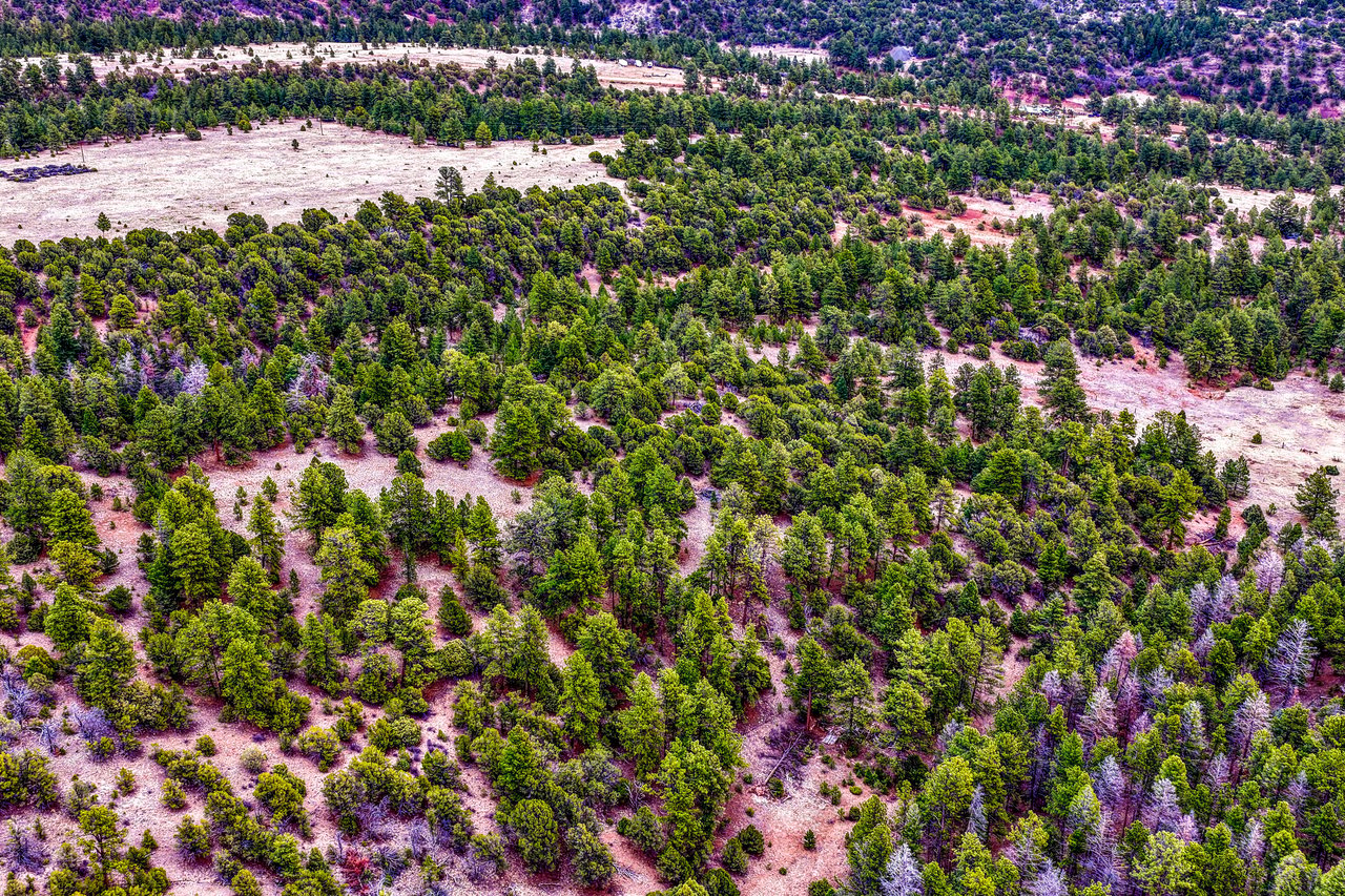 10475 County Road 12