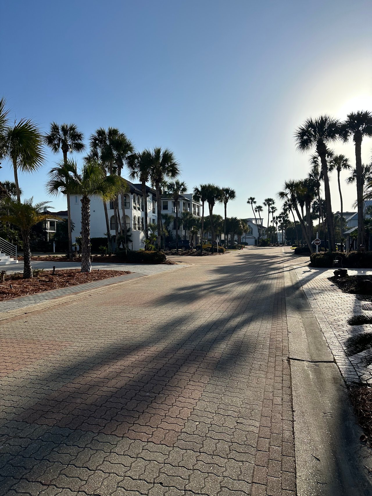Palm-lined brick street bordered by coastal-style homes in Crystal Beach.