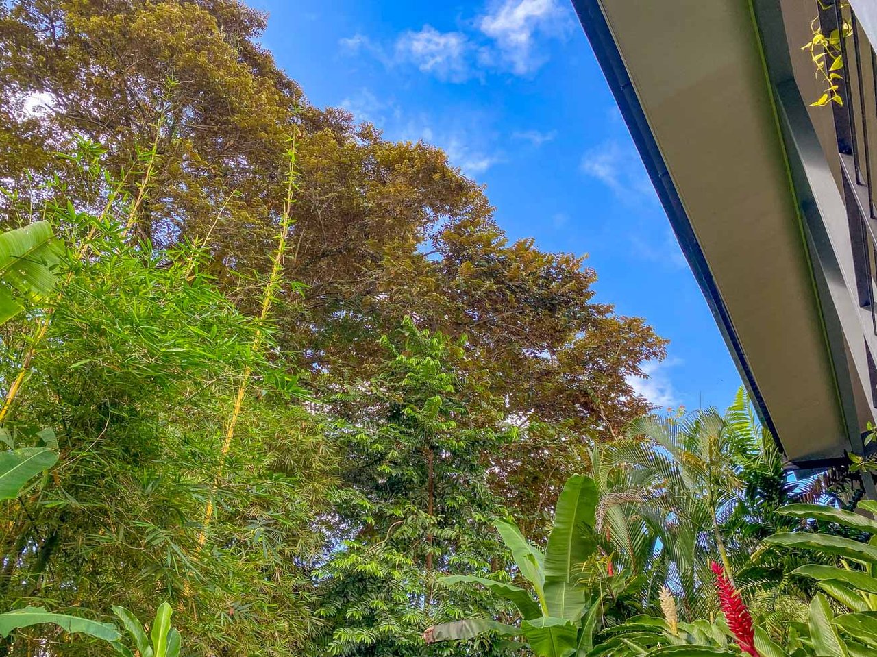 Tropical 4-Bedroom Home for Sale in Uvita | Pool & Airbnb Income