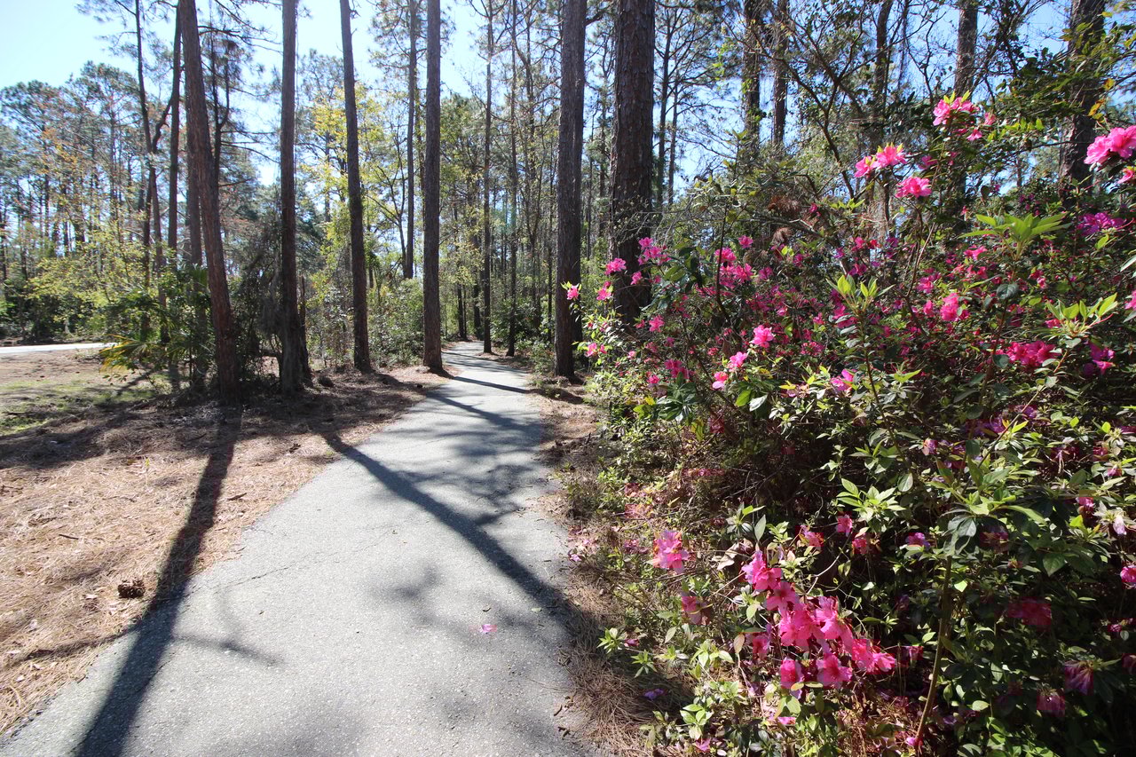 Hilton Head Plantation