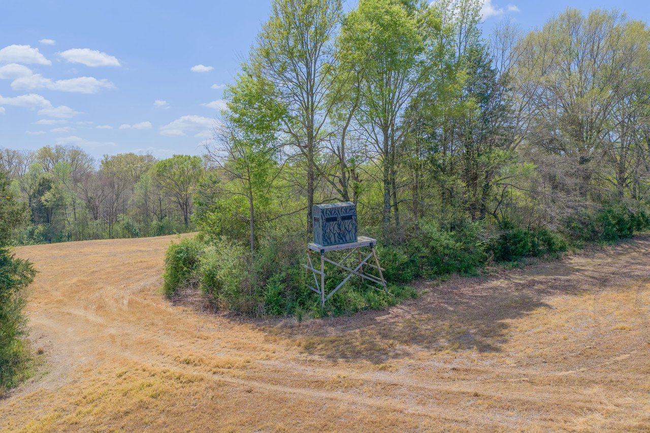 32286 Lanton Rd