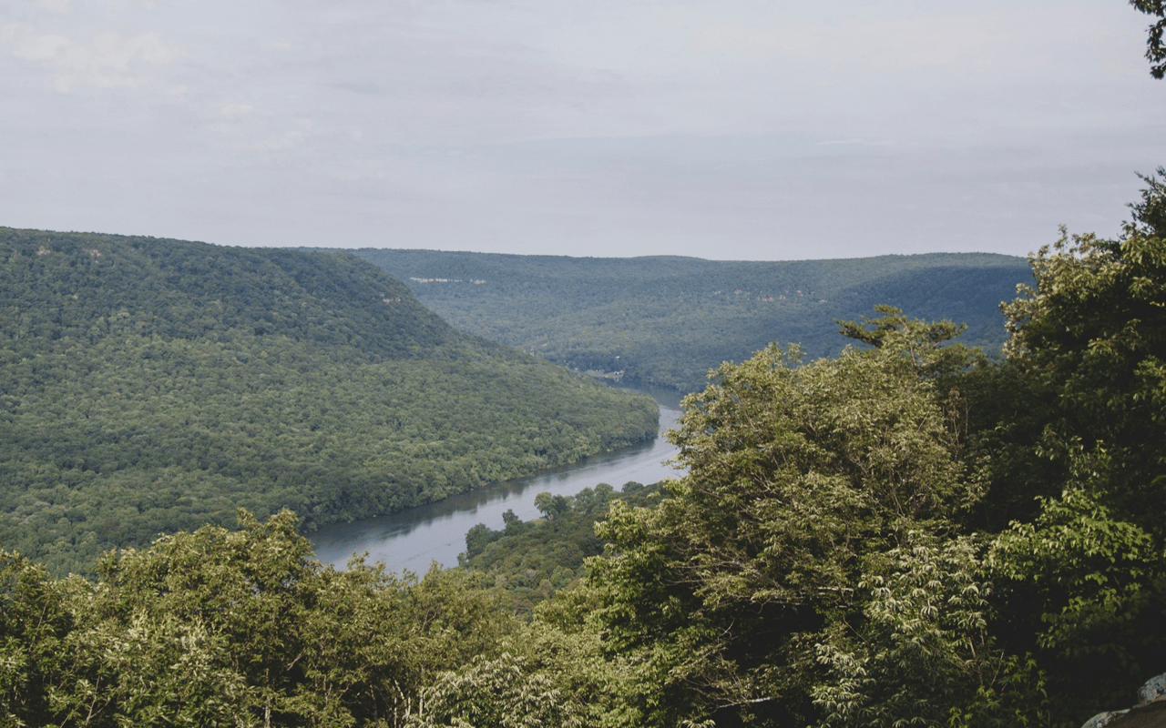 Signal Mountain