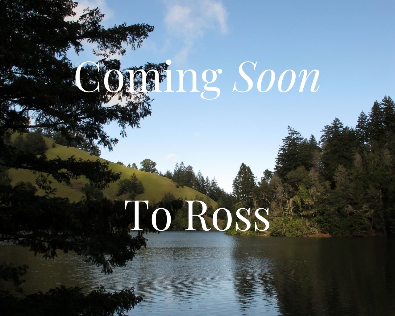 Coming Soon to Ross
