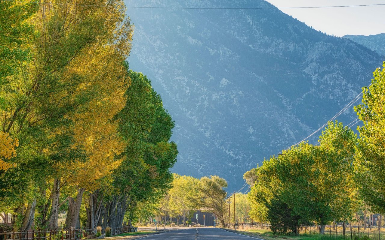 Gardnerville / Minden / Genoa