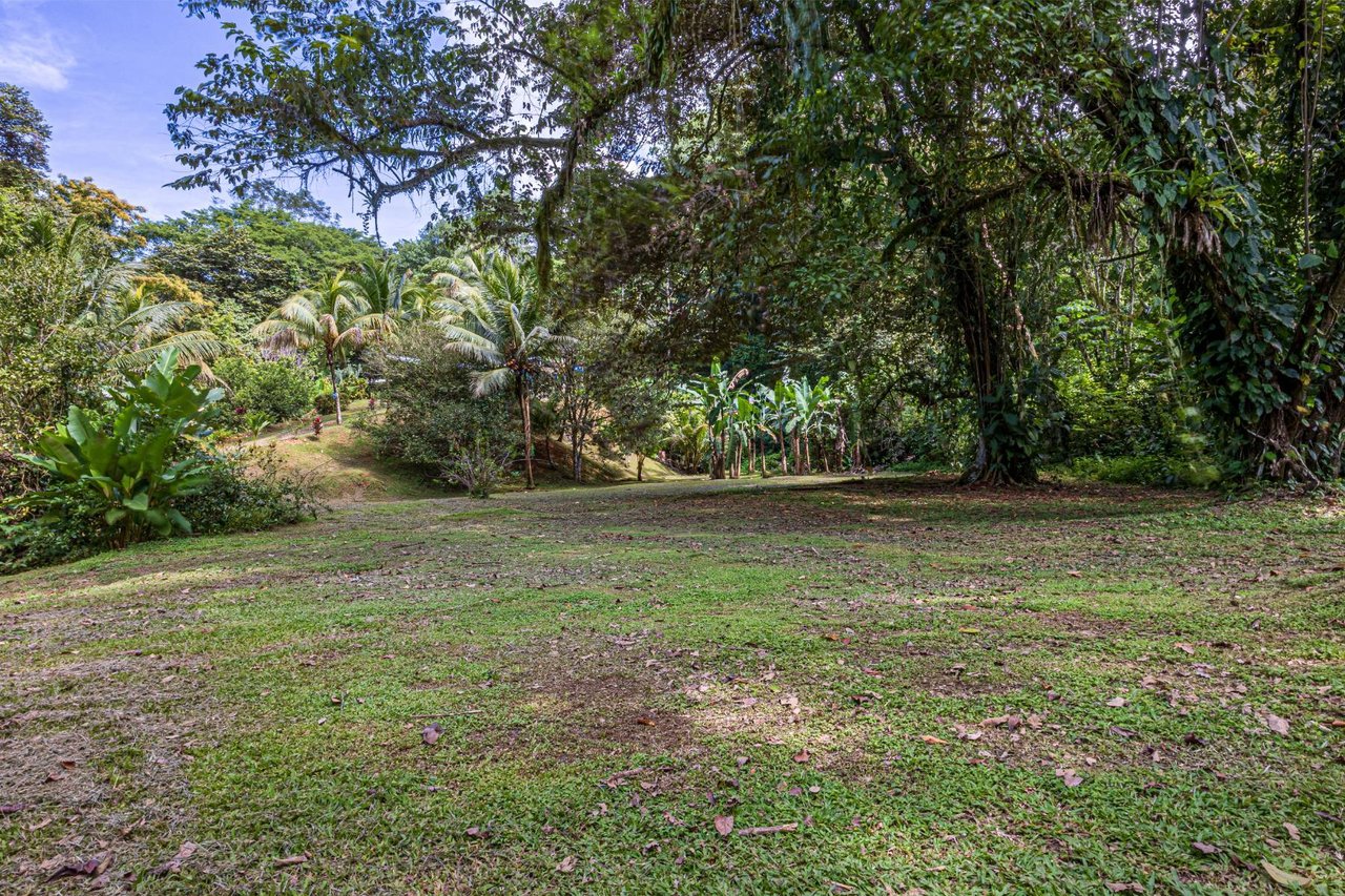 Private Riverfront Jungle Oasis, Ojochal, Puntarenas