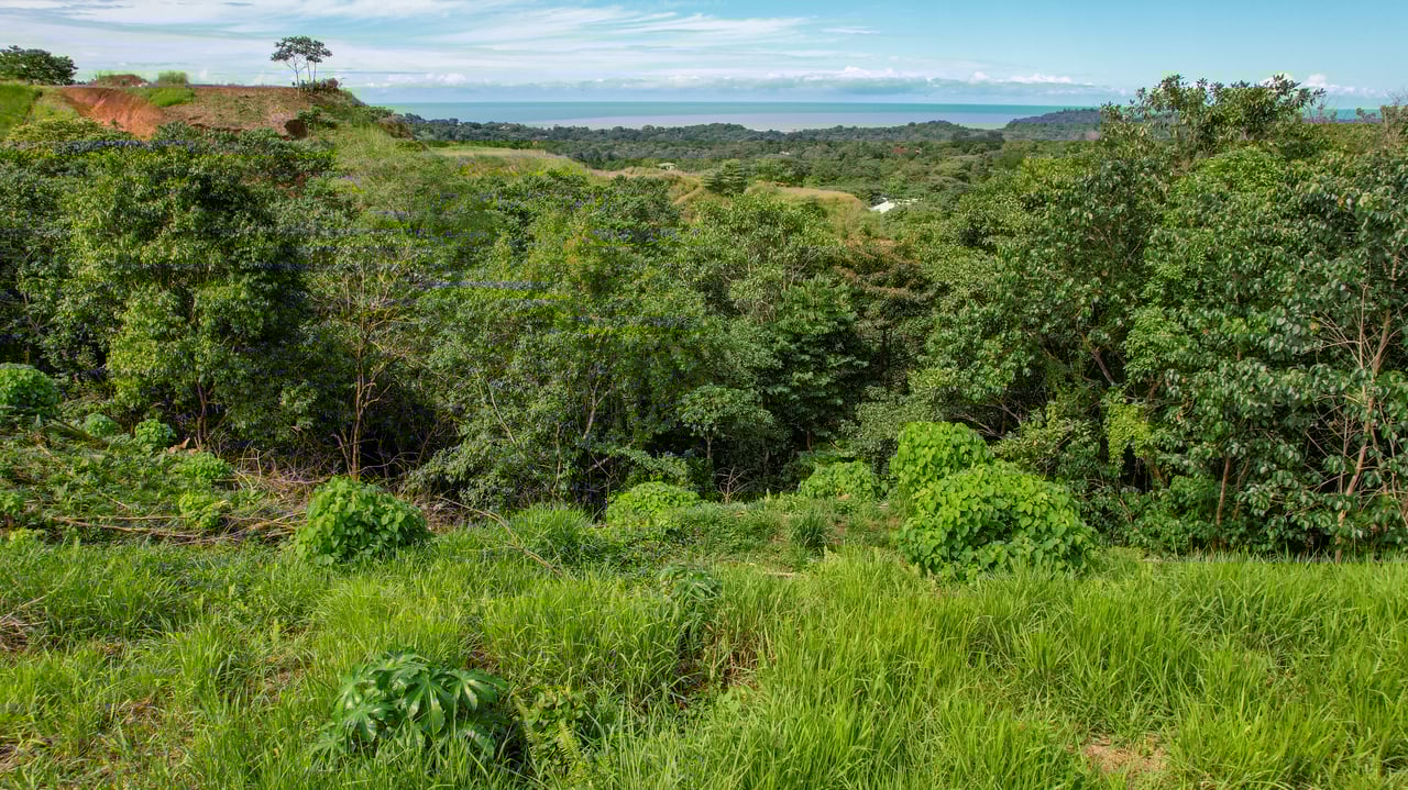 Unobstructed Sunset View Property in Ojochal Costa Rica