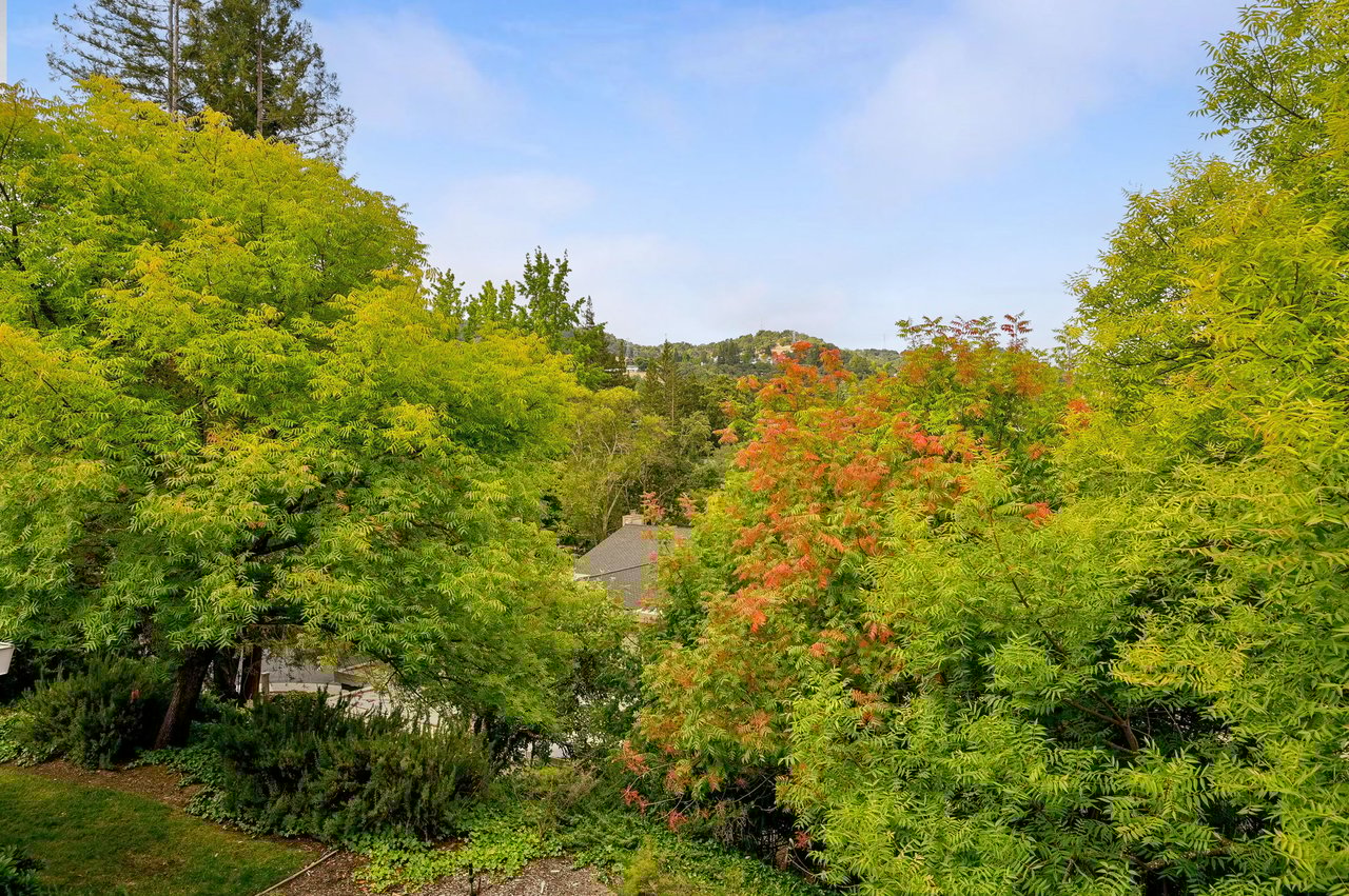 665 Terra California Dr. #3, Walnut Creek