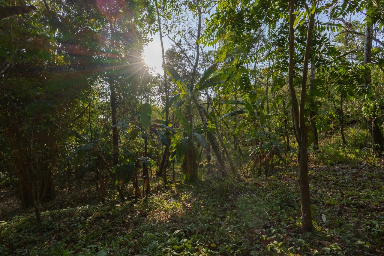 Exclusive Ocean View Development Homesite, Santa Teresa, Puntarenas