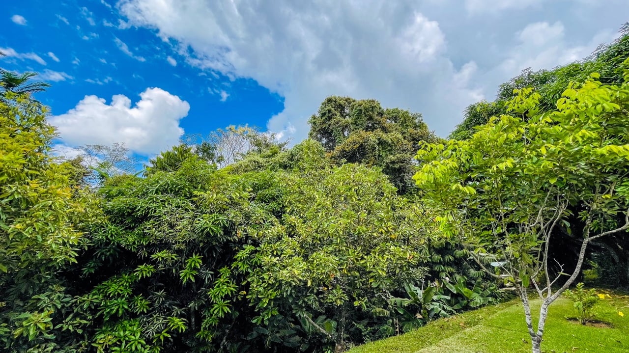 Casa Jean, Window of the Soul 