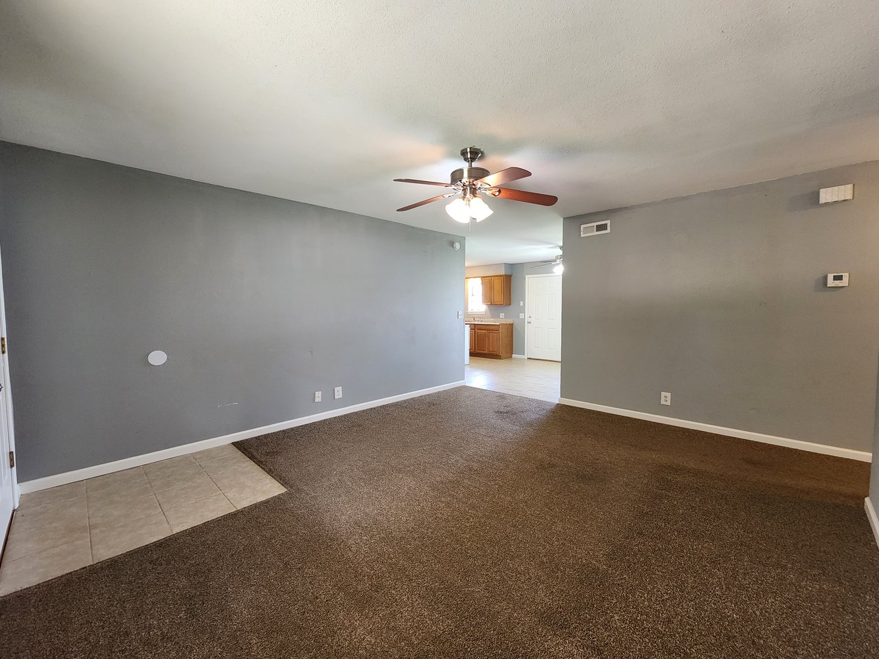 1207 Whispering Glenn Street