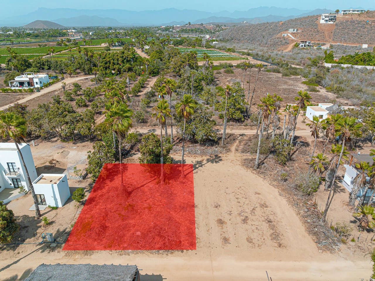 Huerta Hermosa Crudo Lot 703