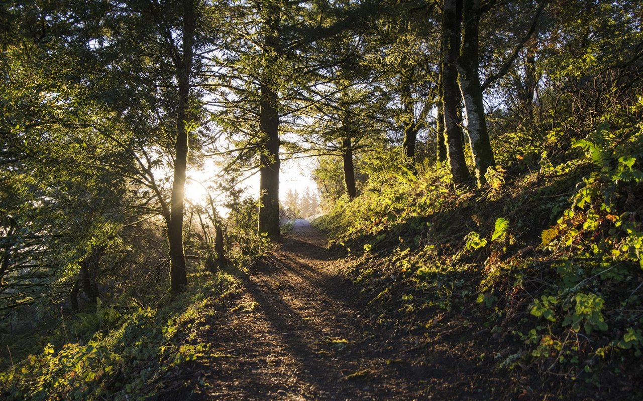 Rocky Mountain National Park To Start Requiring Online Reservations During the Coronavirus Outbreak