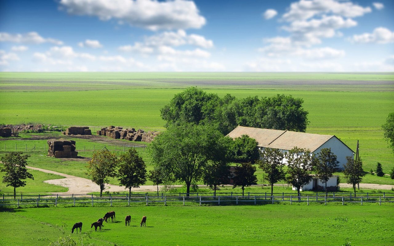 Horses graze in a green pasture beside hay bales and a white farm building.