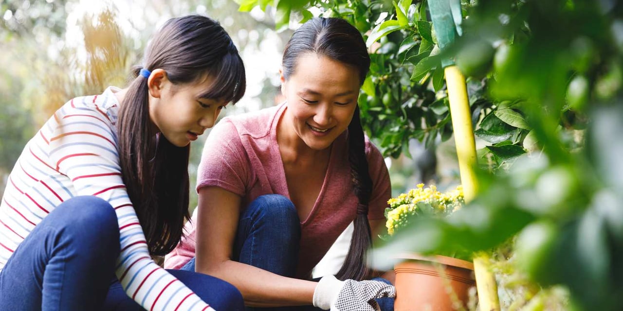 Make Your Yard a Place for Good with Environmentally Friendly Landscaping