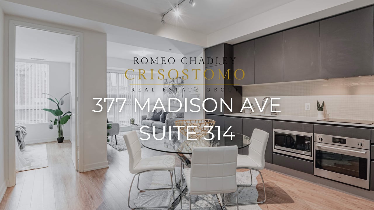 377 MADISON AVE SUITE 314, TORONTO, ONTARIO