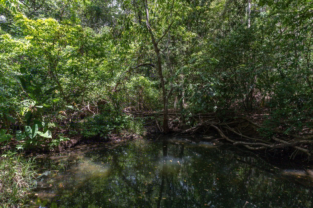 2.27 Acres close to Main Rd, Dixon Cove