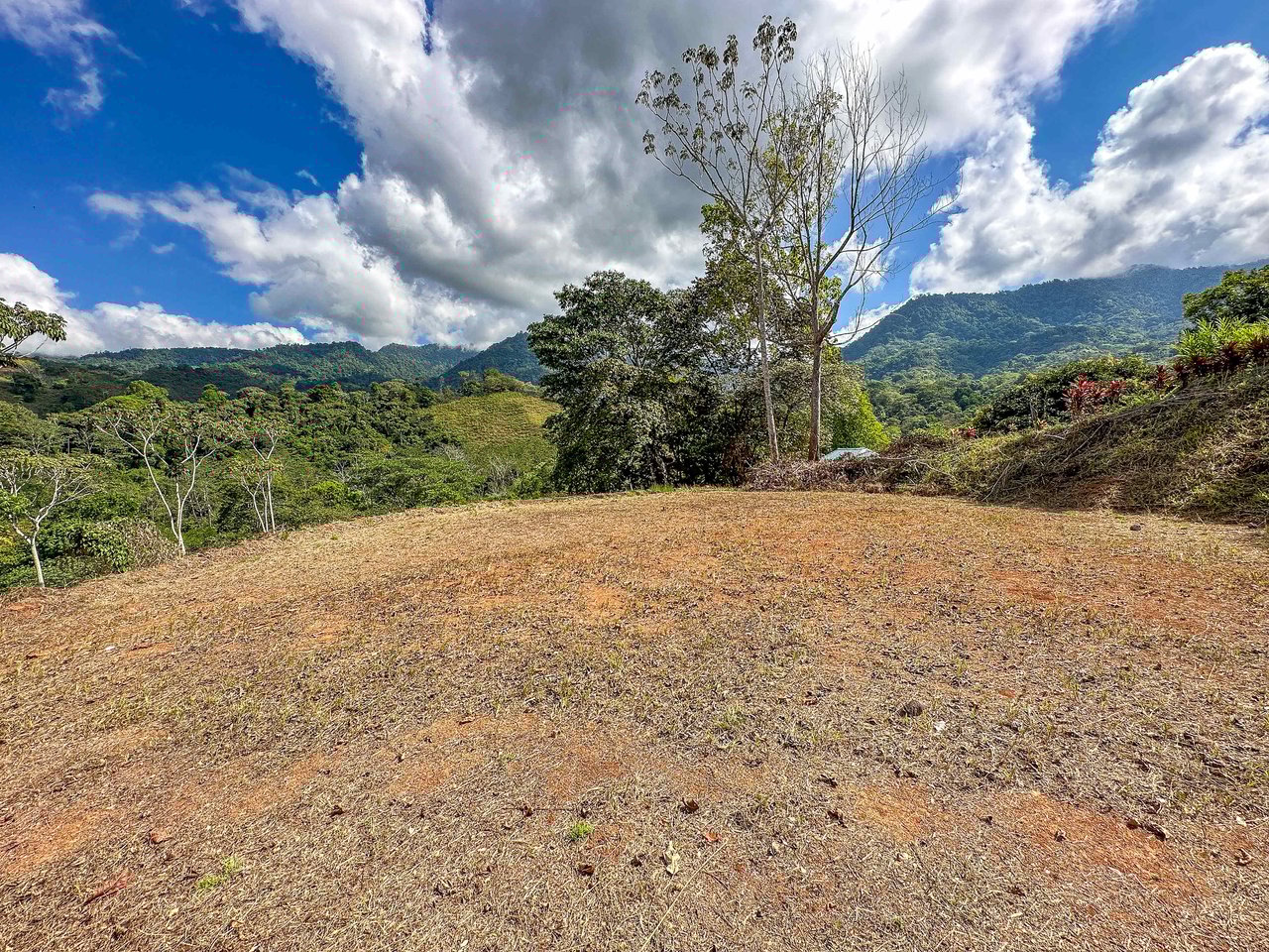 An elevated 1.2 acres lot with two plantels, panoramic mountain and jungle views.